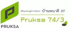 pruksaville-74
